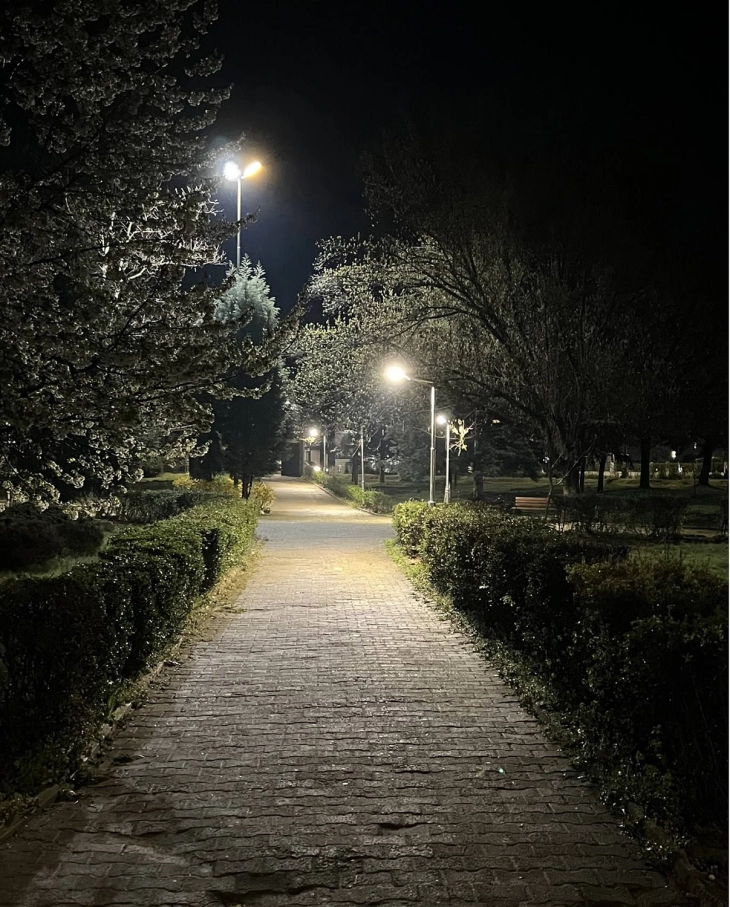 Градскиот парк во Виница осветлен со „паметни“ светилки