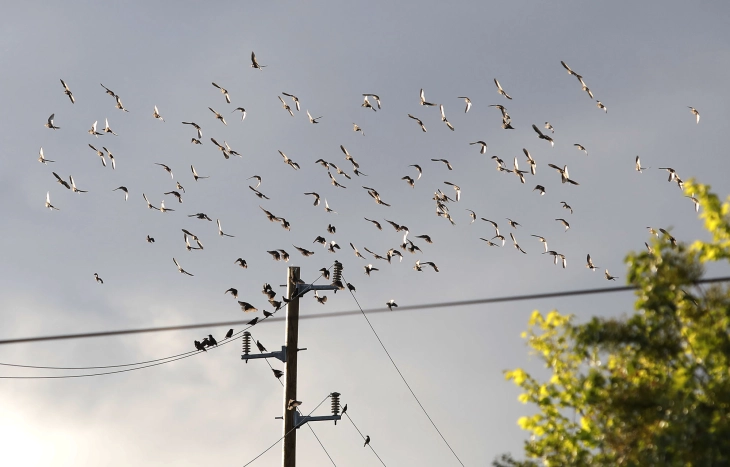 Weather: Cloudy with sunny spells; high 18°C