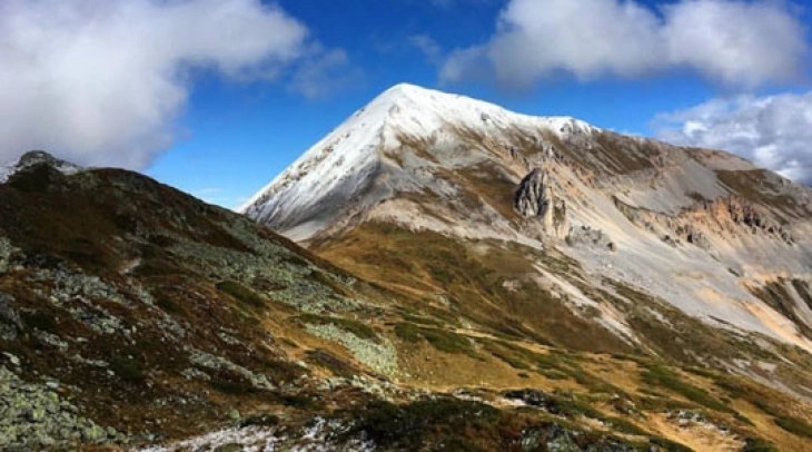 Road condition report