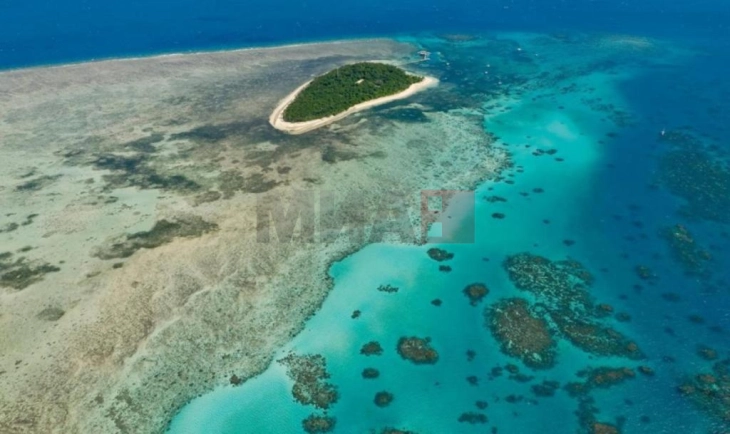 Големиот корален гребен во Австралија е загрозен, температурата на морето највисока во последните 400 години