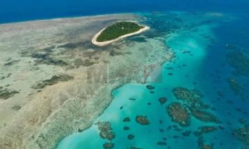 Научници открија над 110 нови видови риби во Коралното Море кај Австралија