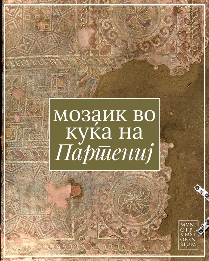 По долго време се открива уште едно скриено богатство на Стоби - мозаик во Куќата на Партениј