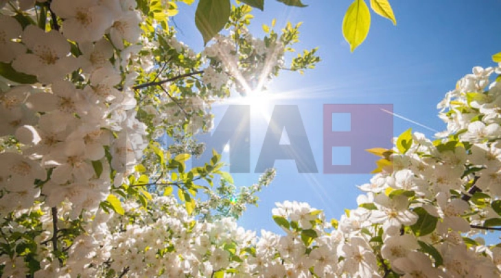 Moti sot me diell dhe i ngrohtë deri më 25 gradë