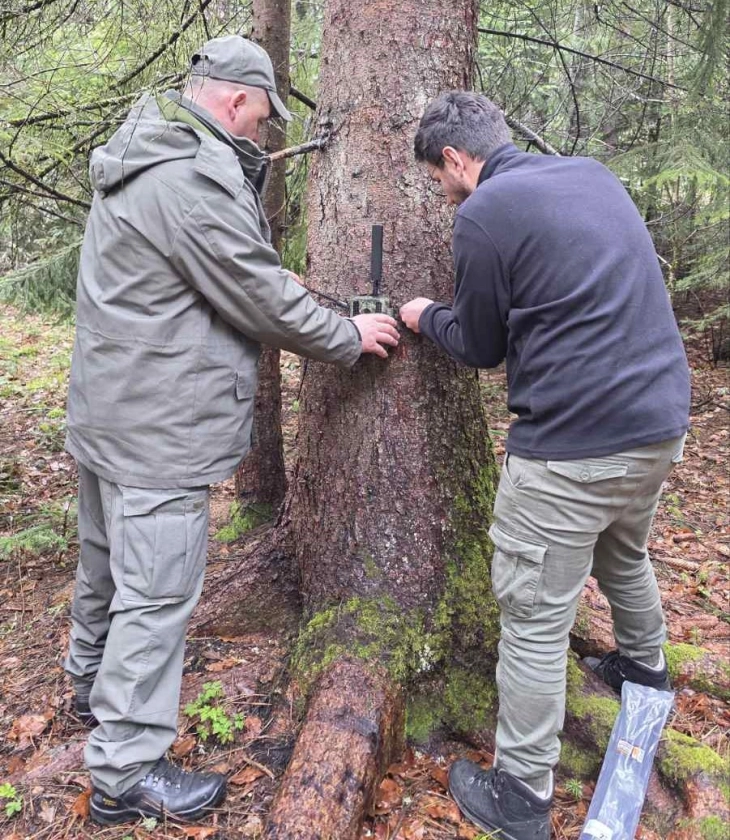 ЈУНП „Пелистер“ постави 40 мониторинг камери во националниот парк „Пелистер“