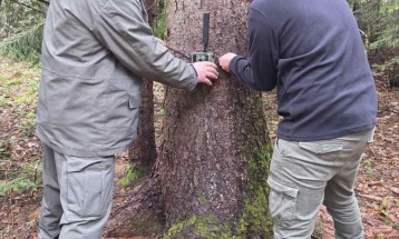 ЈУНП „Пелистер“ постави 40 мониторинг камери во националниот парк „Пелистер“