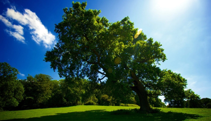 Променливо облачно и посвежо со сончеви периоди