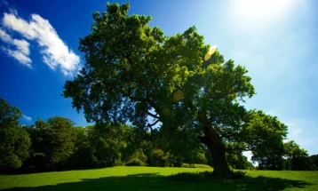 Променливо облачно и посвежо со сончеви периоди