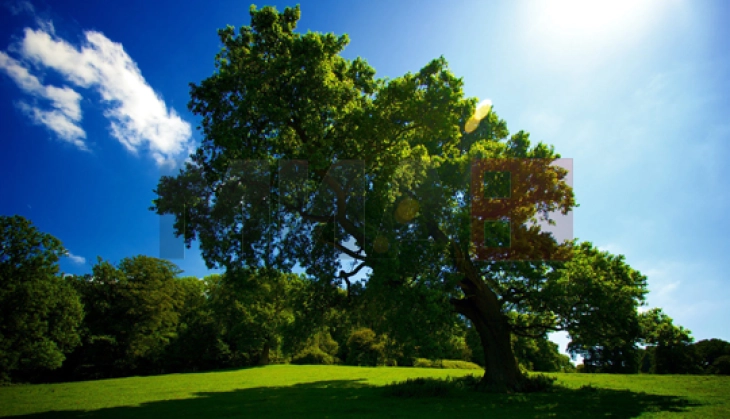 Mot me vranësira të ndryshueshme dhe më freskët me periudha me diell