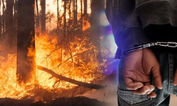 Приведен радовишанец осомничен за предизвикување пожар што зафатил шума и викендичка на Плачковица