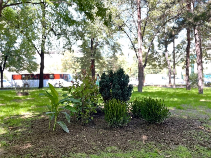 ​Предвелигденска акција на Општина Кисела Вода и ЈП „Паркови и зеленило“ за уредување на јавните површини