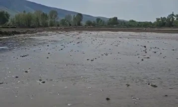 Стартува наводнувањето во Кочанско, вода за над 7.000 хектари земјоделски површини