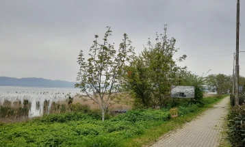 Пловечка платформа на вода или фиксна конструкција на суво – два концепти за довршување на пешачката патека во Дојран