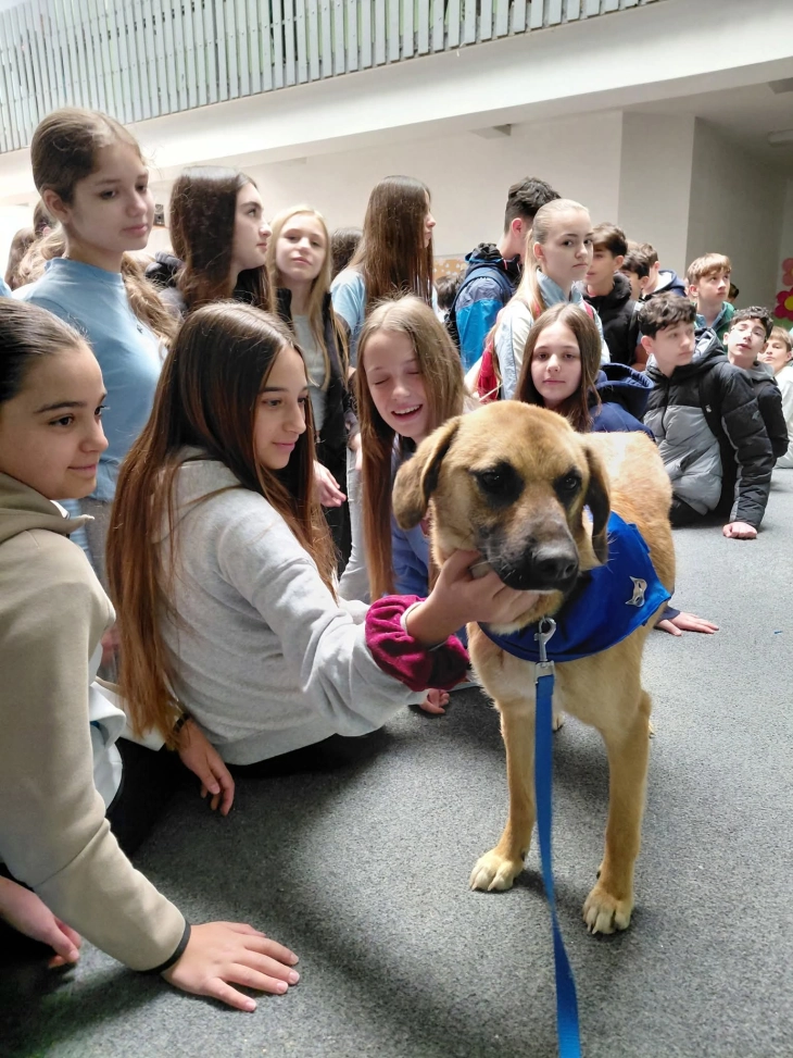 Едукативен караван на ЈП „Лајка“ - „Како да бидам одговорен сопстевеник на мојот миленик“