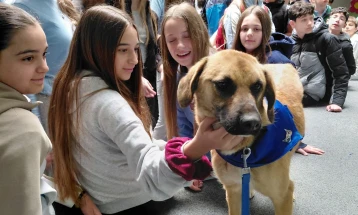 Едукативен караван на ЈП „Лајка“ - „Како да бидам одговорен сопстевеник на мојот миленик“