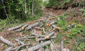 Kallëzime penale ndaj të punësuarve në MPB dhe Policinë Pyjore për keqpërdorim të pozitës shkatërrim të pyjeve