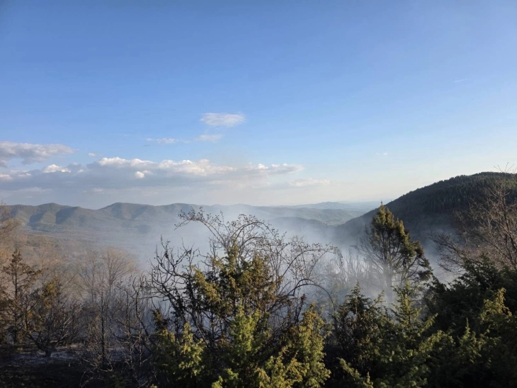 Пожар кај Арбанашко, Старо Нагоричане изгореа сува трева, смрека и дабова шума