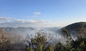 Пожар кај Арбанашко, Старо Нагоричане изгореа сува трева, смрека и дабова шума