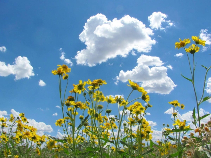 Weather: Scattered clouds, sunshine; high 25°C