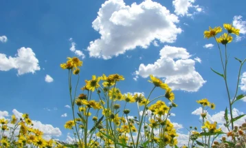 Weather: Scattered clouds, sunshine; high 25°C