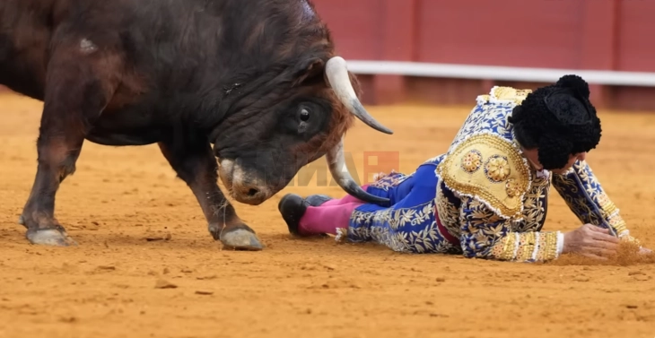 Тешко повреден Моранте де ла Пуебла за време на борбата со бикови во Севиља