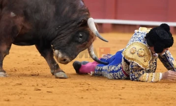 Тешко повреден Моранте де ла Пуебла за време на борбата со бикови во Севиља